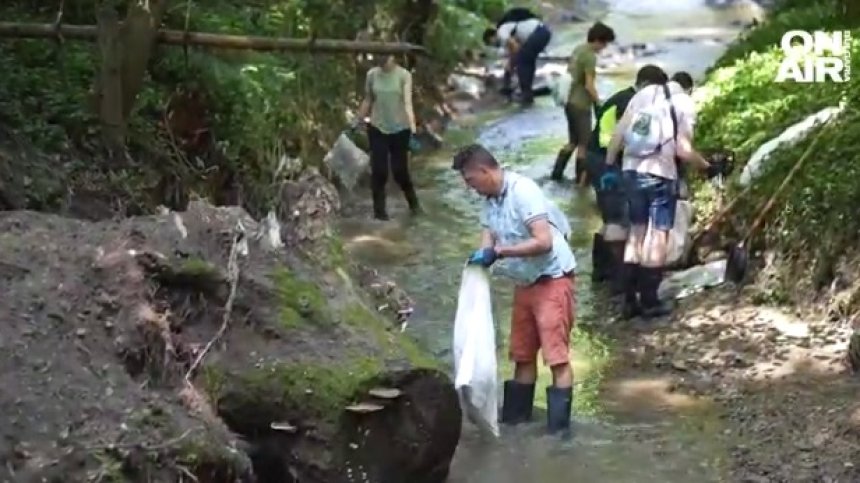 Schwarz IT с приложение за подаване на сигнали за нередности