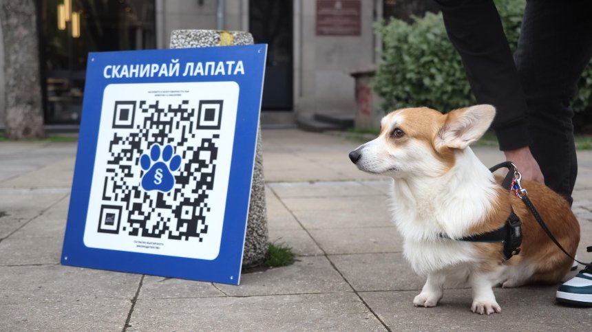Инициатива "Сканирай лапата" за правилна грижа за домашните любимци (СНИМКИ)