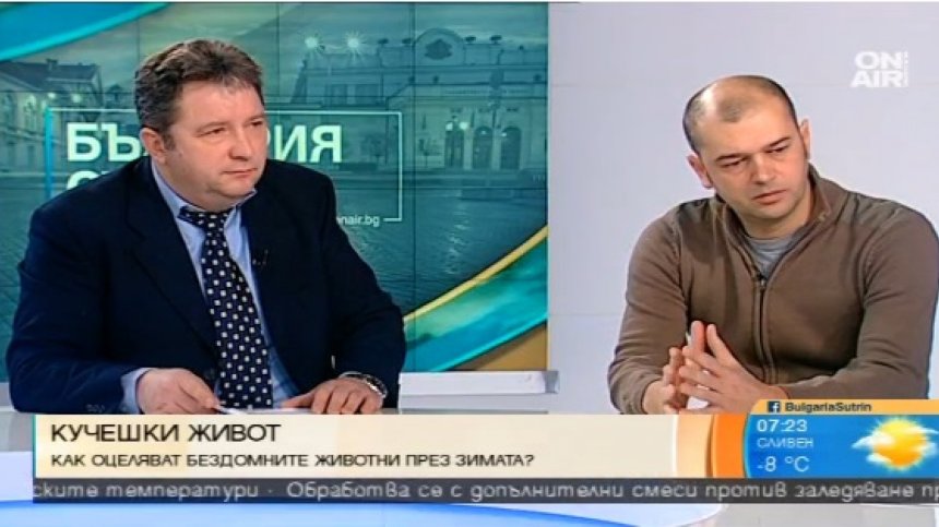Фондация "Четири лапи": Някой трябва да контролира приютите за бездомни кучета