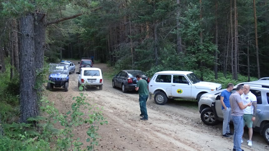 Нападнатата от мечка жена е с множество рани, кметът на Белица иска отстрелване на животното