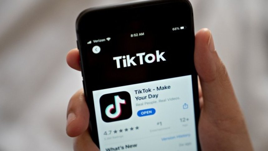 TikTok призова съдия да блокира спирането на свалянията ѝ в САЩ