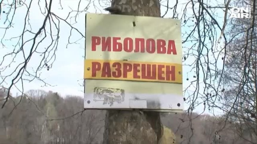Огромни количества мъртва риба в езеро край Николаево