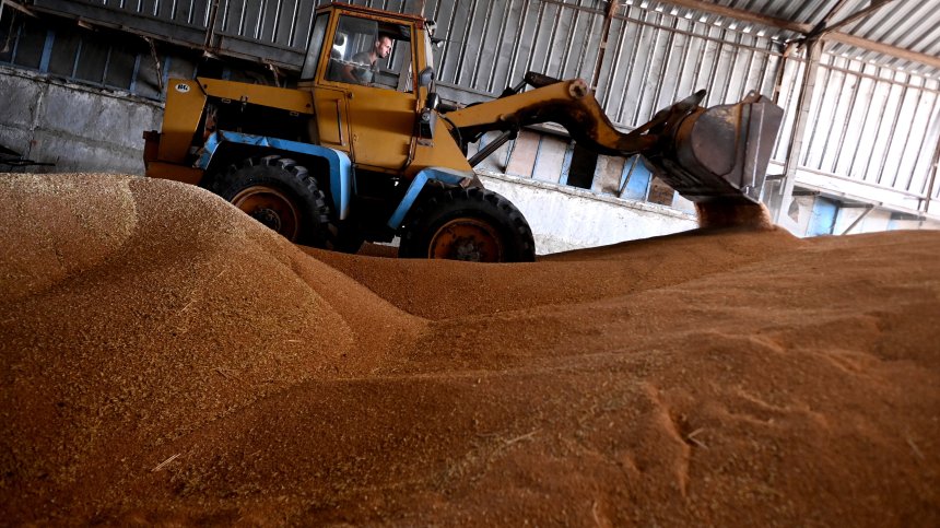 Възстановяват митата върху украински стоки, без пшеницата