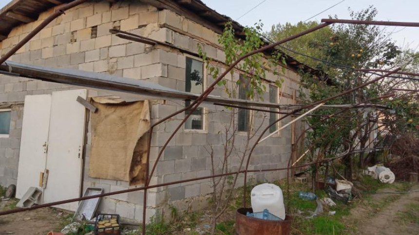 БАБХ спря дейността на незаконен развъдник, в който е родено кучето Рая