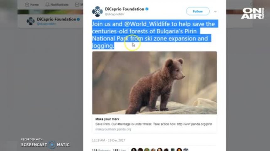 Национален парк "Пирин" събира все повече подкрепа от Холивуд