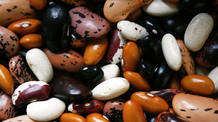 Важно е да не изключваме бобовите култури от менюто си