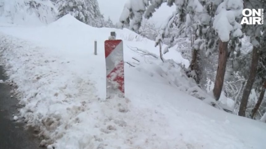 Кола полетя от опасен път без мантинели край Благоевград, спря се в дърво в пропастта