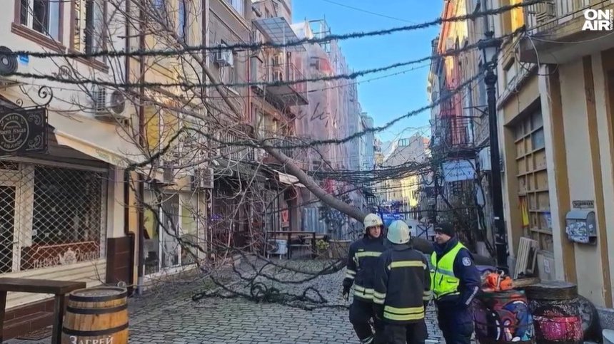 100 км/ч в Пловдив: Вятърът повали дървета върху коли, общината обеща пари (ВИДЕО)