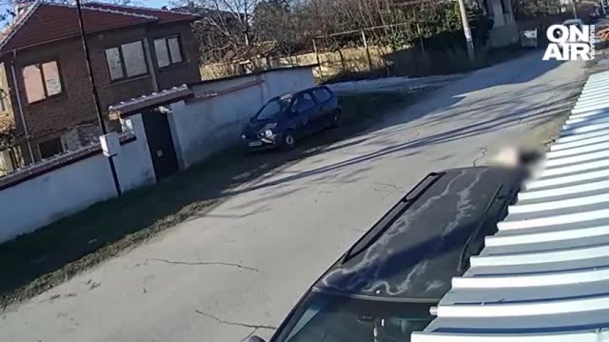 Шофьорът, прегазил кучето Роска край Пазарджик, отива на съд, не било нарочно