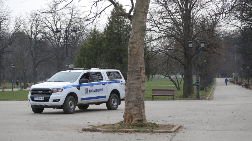 Откриха незаконна сеч в Борисовата градина, глобяват собственика на терена с 50 бона