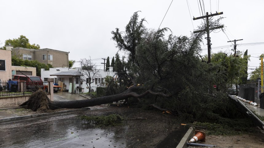 Ураганни ветрове събарят дървета в Полша, има жертви, сред които и дете