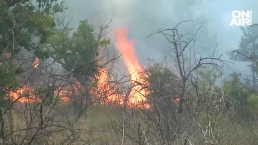 Отмениха частичното  бедствено положение заради пожара в Пъстрово