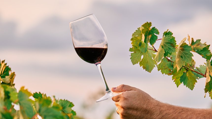 Маврут, гъмза, рубин - българските вина са готови за световната сцена