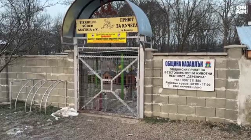 Психично болен преби с кол шефа на приюта за безстопанствени животни в Казанлък