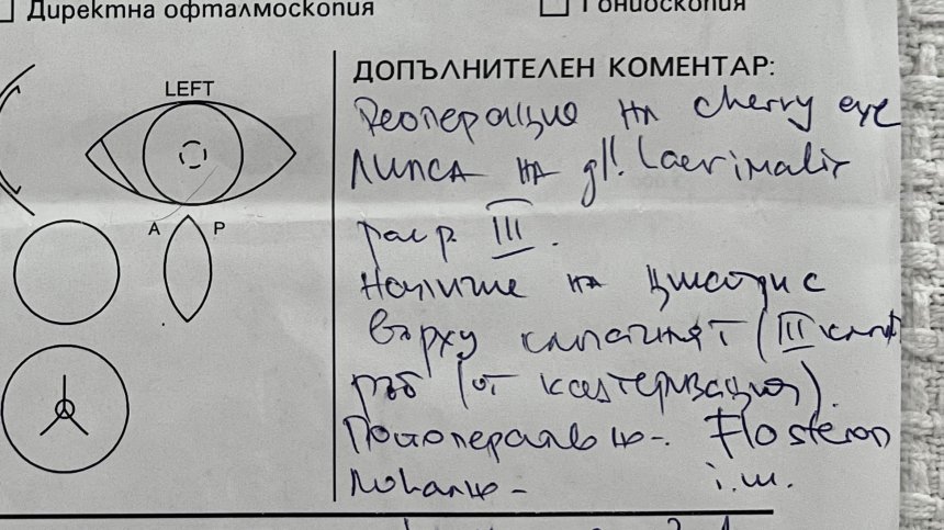 Перипетиите на едно куче: Немарлива операция, фалшива епикриза, обезобразено око