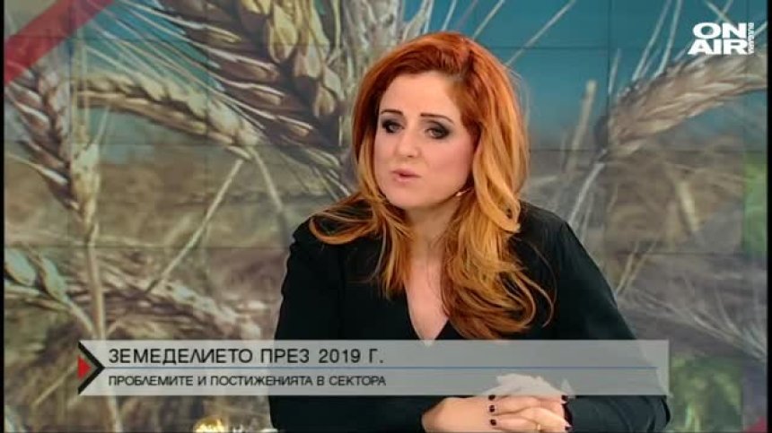 Чумата по свинете - бичът на отрасъла през годината
