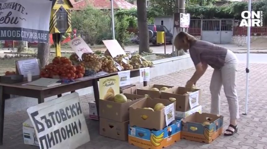 Сергия с плодове и зеленчуци на самообслужване - ето къде и как става