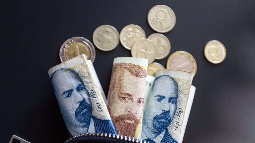 По 20 ст. на избирател са дали партиите под формата на реклама