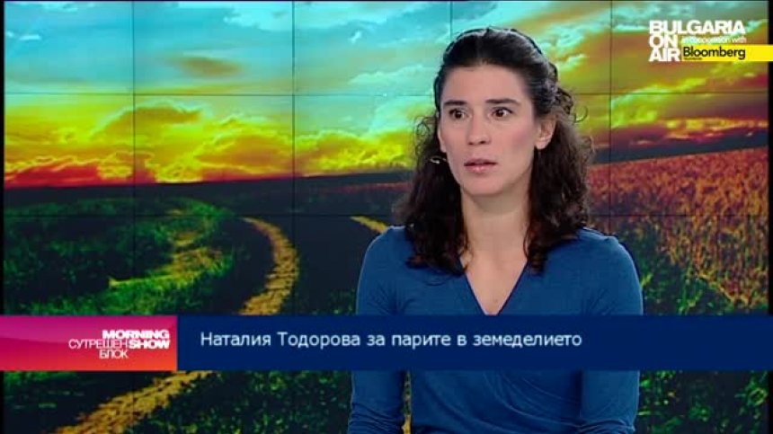 Наталия Тодорова: Всяко забавяне на прибиране на пшеницата влошава качеството й