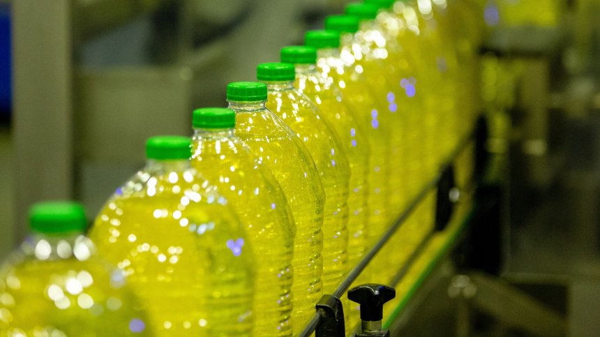 Преработвателите на слънчоглед пред фалит, цените след реколта 2023 остават неясни