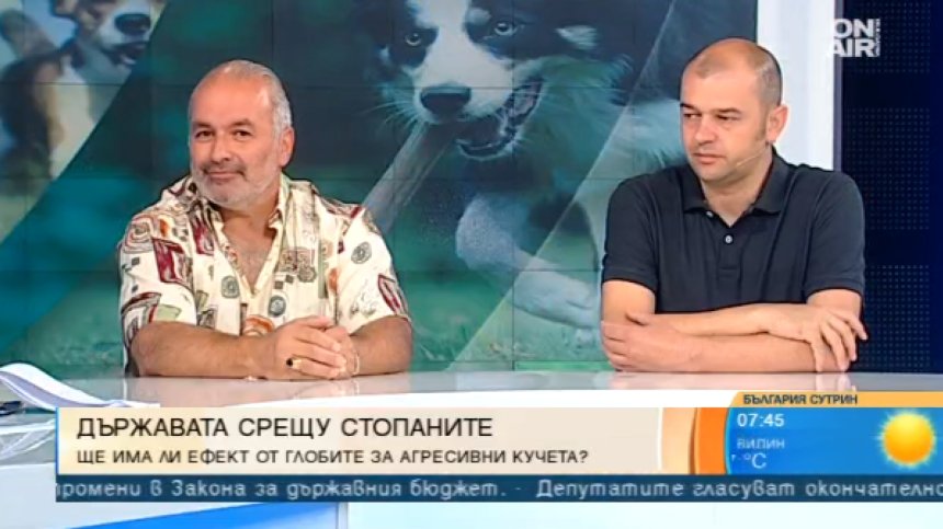 Размерът на кучето не бил критерий за агресивността му, всичко зависело от собственика