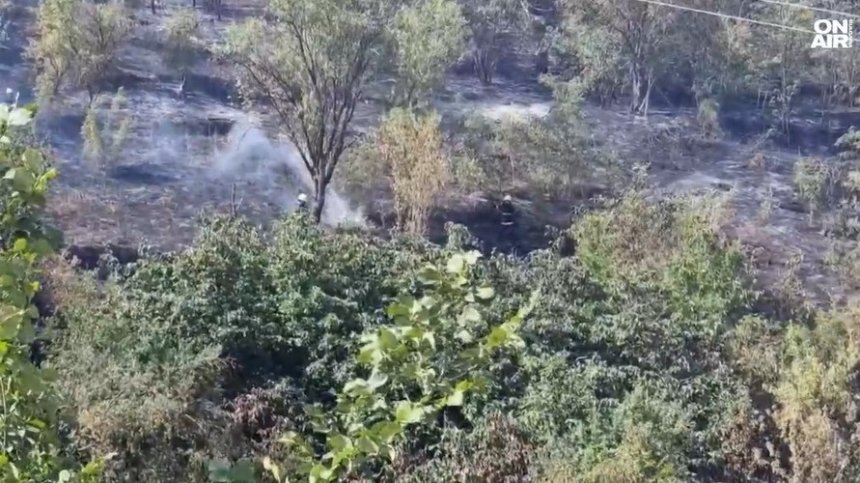 Пожарът във Варненско е локализиран