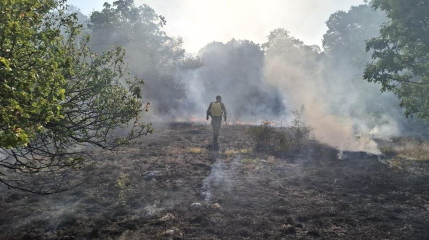 Доброволци в битка с пожарите: Виждаме неща, които не ни се искаше да виждаме