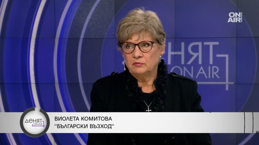 Комитова: Лоша е репутацията на санирането, изходът е постоянна и ежегодна програма