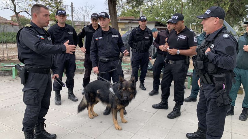 Граничен полицай пострада при гонка с мигранти в гора, наградиха екипа и куче Рекс (+СНИМКИ)