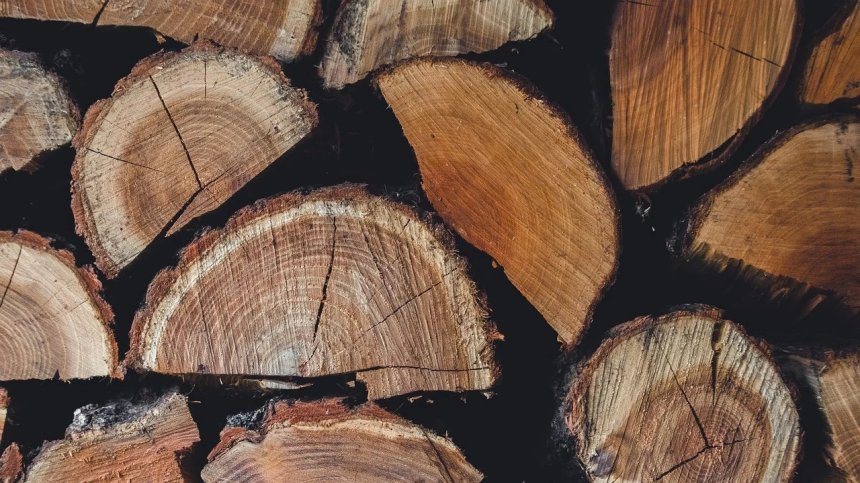 Дадоха Хасан Азис на съд заради измама с дърва