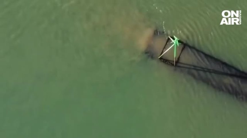 Франция поиска мерки от ЕК срещу изпуснатите отпадъчни води в Ламанша от Великобритания