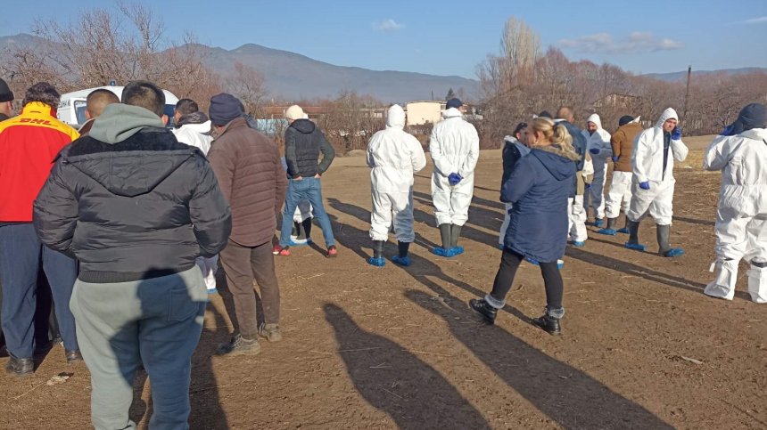 БАБХ изпрати пробите от стадата във Велинград на евролабораторията в Монпелие