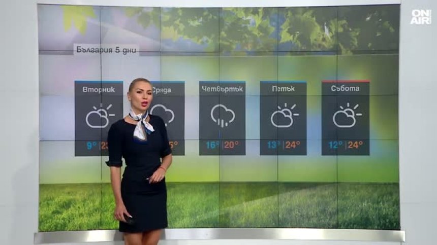 Сутрешна прогноза