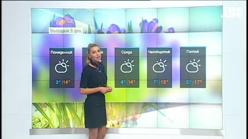 Централна прогноза