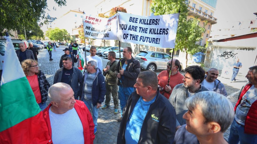 Пчелари поискаха помощ от държавата