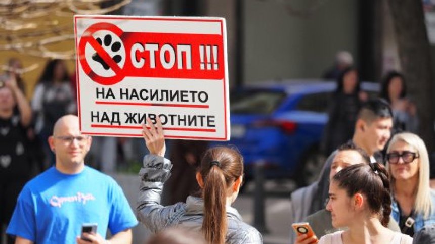 Министърът на правосъдието предлага до 10 г. затвор за насилие над животни