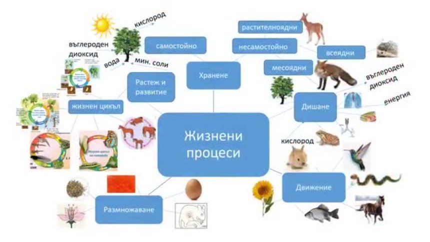 Урок по Човекът и природата за 4 клас