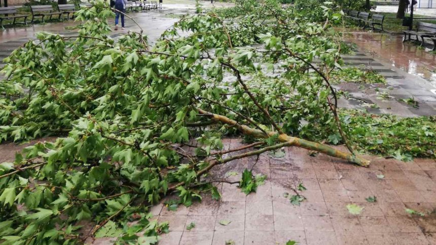 Правят огледи и описват щетите след снощните бури в Северозападна България