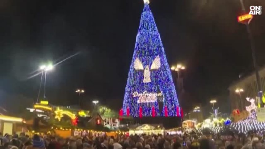 В Германия грейна най-голямото коледно дърво в света