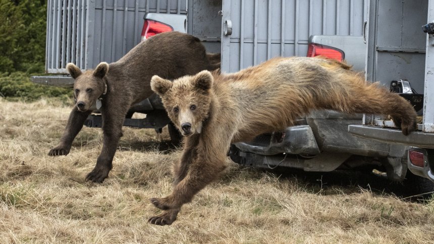 Три осиротели мечета получиха шанс за нов живот в Национален парк "Рила"