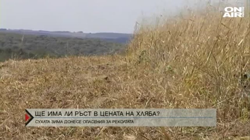 Ще поскъпне ли хлябът?