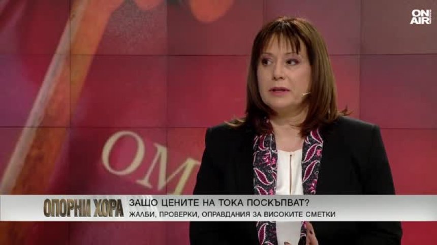 Велислава Делчева: Според енергодружествата, ние сме в ледената епоха