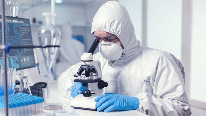 Смъртоносна гъбичка от Африка и Южна Америка заплашва Европа