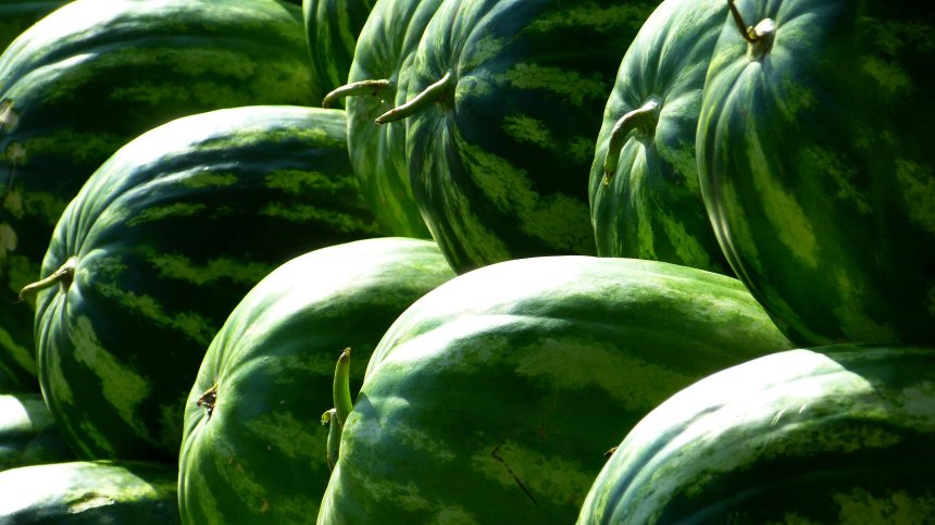 Вкусът на лятото: От полето до пазара цената на динята скача със 150%
