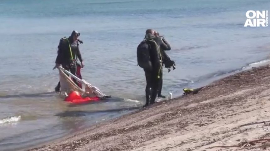 Гуми, шезлонги, найлони: Какво извадиха доброволци от морето при плаж "Нестинарка"