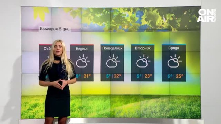 Централна прогноза