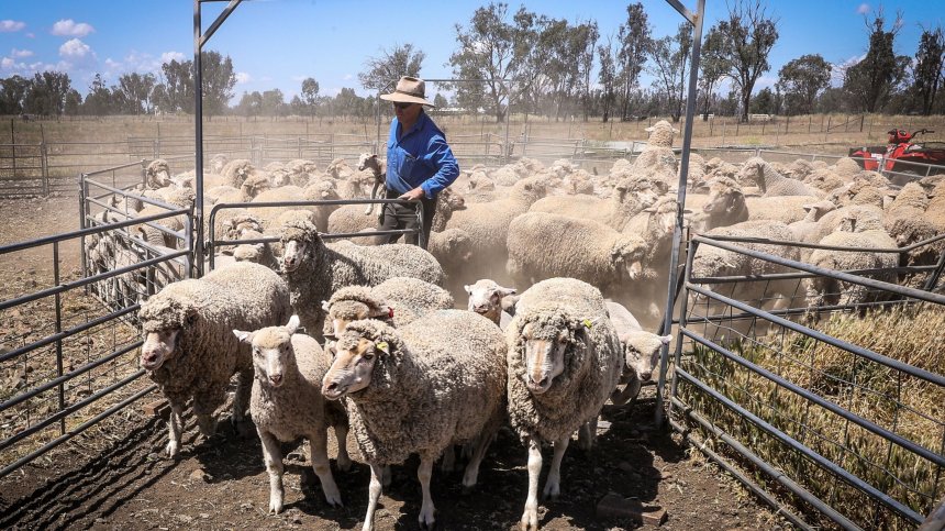 За 15 години фермите в ЕС са намалели с цели 37%