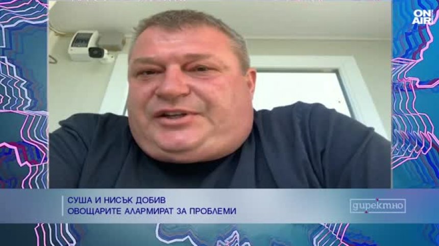 Сушата и горещините удариха тежко българските овощари
