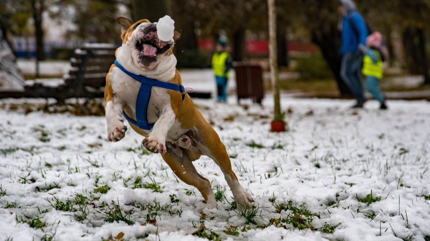 Прогноза до края на месеца: Идва ли затопляне?