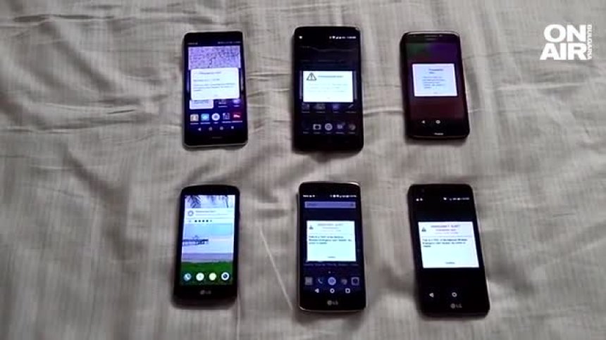 Цветущо народно творчество след съобщението, хвърлило българите в паника (+ВИДЕО)